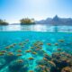 tempat snorkeling terbaik di indonesia