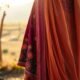 Pesona Baju Tradisional Pakistan: Menjelajahi Warisan Budaya